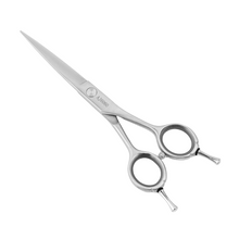 Load image into Gallery viewer, Hair Cutting Scissors (AJ 6060)