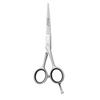 Hair Cutting Scissors (ML140-55)