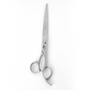 Hair Cutting Scissors (IN-M70)